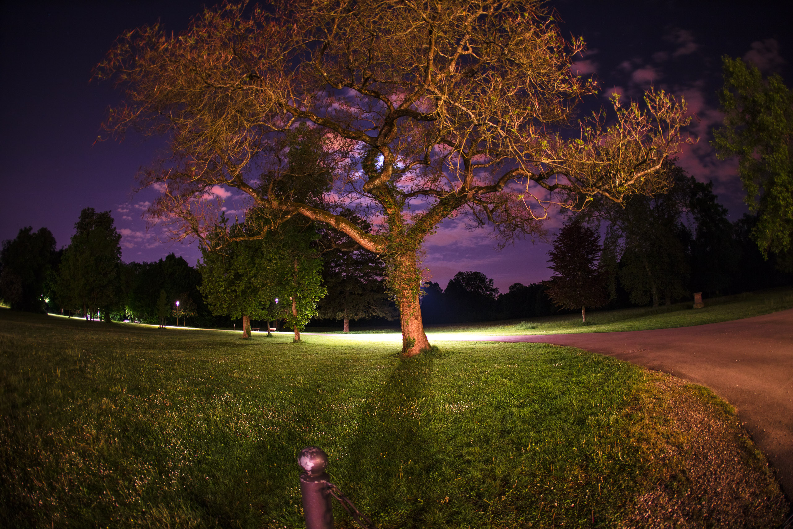 20220507235707 DP017487 2